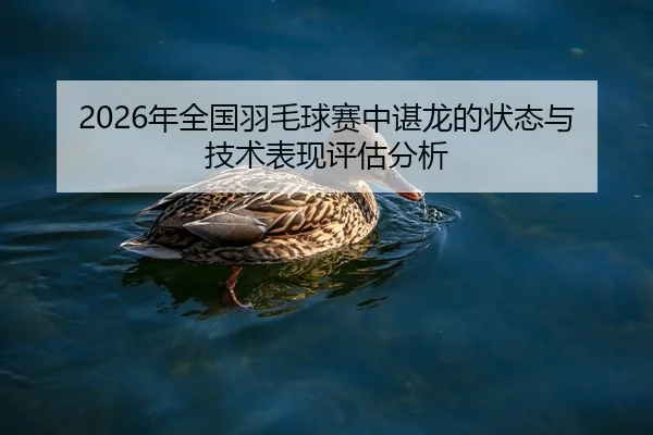 nian-quan-guo-yu-mao-qiu-sai-zhong-chen-long-de-zhuang-tai-yu-ji-shu-biao-xian-ping-gu-fen-xi-1-662.jpg