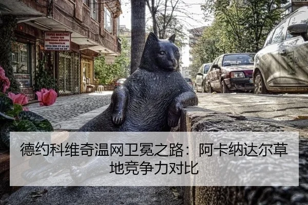 de-yue-ke-wei-qi-wen-wang-wei-mian-zhi-lu-a-ka-na-da-er-cao-di-jing-zheng-li-dui-bi-2-259.jpg