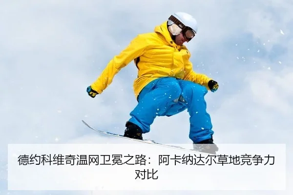 de-yue-ke-wei-qi-wen-wang-wei-mian-zhi-lu-a-ka-na-da-er-cao-di-jing-zheng-li-dui-bi-3-752.jpg